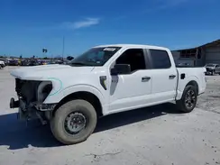 1FTEW2KP8RKD58443 2024 FORD F-150