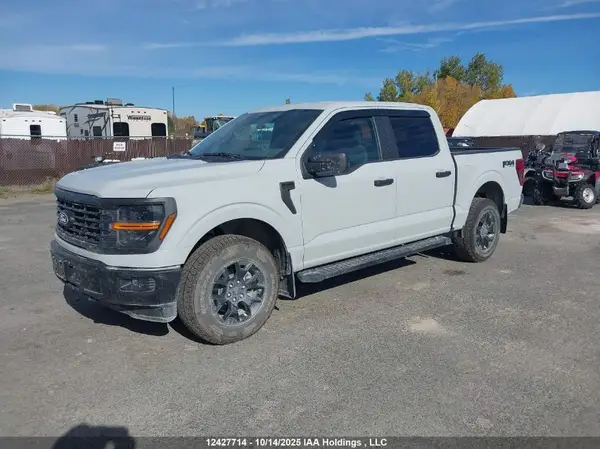 1FTEW2LP0RFB77361 2024 FORD F-150 - Image 2