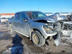 1FTEW2LP0RKE57482 2024 FORD F-150