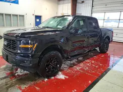 1FTEW2LP1RFA13813 2024 FORD F-150