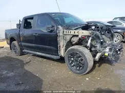 1FTEW2LP1RKE41338 2024 FORD F-150