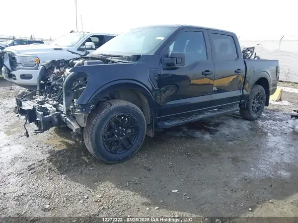1FTEW2LP1RKE41338 2024 FORD F-150 - Image 2