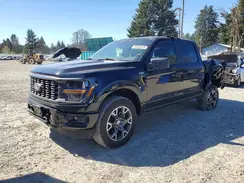 1FTEW2LP1RKE64635 2024 FORD F-150