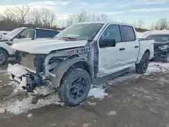 1FTEW2LP4RFA25535 2024 FORD F-150