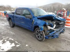 1FTEW2LP4RKD23817 2024 FORD F-150