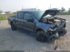 1FTEW2LP5RFB32545 2024 FORD F-150