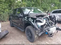 1FTEW2LP5RKE80014 2024 FORD F-150