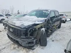 1FTEW2LP5SKD63281 2025 FORD F-150
