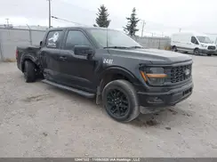 1FTEW2LP6RKE19108 2024 FORD F-150