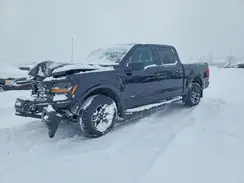 1FTEW2LP7SFA55411 2025 FORD F-150