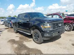 1FTEW2LP8RFA11394 2024 FORD F-150