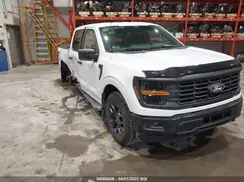 1FTEW2LP8RFB31809 2024 FORD F-150