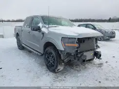 1FTEW2LP8RKD35310 2024 FORD F-150