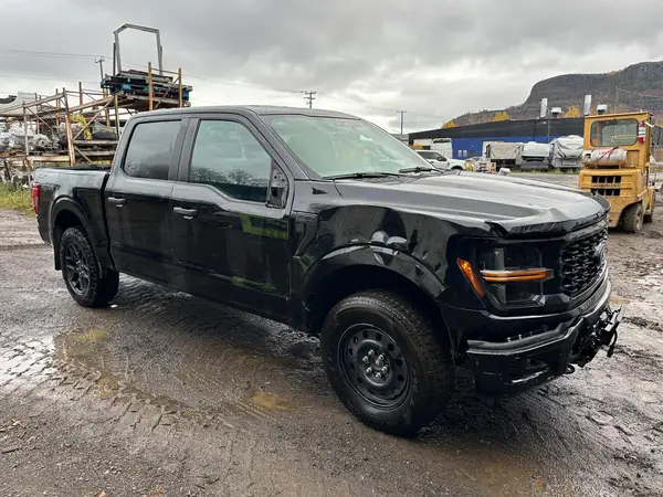 1FTEW2LP8RKD85205 2024 FORD F-150 - Image 1