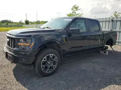 1FTEW2LP8RKE46519 2024 FORD F-150