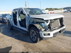 1FTEW2LP9RKF10048 2024 FORD F-150