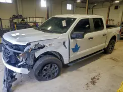 1FTEW2LPXRFA33865 2024 FORD F-150