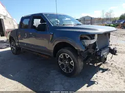 1FTEW2LPXRKD03345 2024 FORD F-150