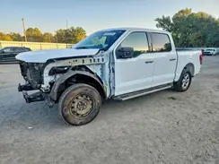 1FTEW3K51RKD87805 2024 FORD F-150