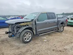1FTEW3K51RKE40180 2024 FORD F-150