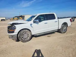 1FTEW3K53RKD39951 2024 FORD F-150