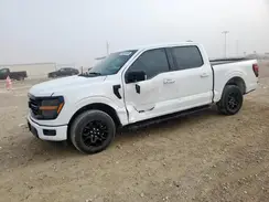 1FTEW3K53RKF40880 2024 FORD F-150