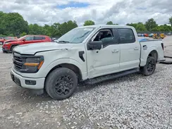 1FTEW3K54RKD68584 2024 FORD F-150
