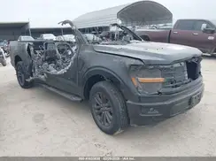1FTEW3K55RFC06620 2024 FORD F-150