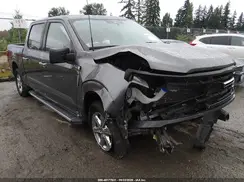 1FTEW3K55SKE63337 2025 FORD F-150