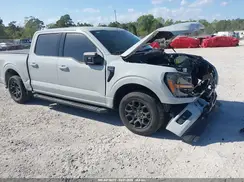 1FTEW3K56RKE81646 2024 FORD F-150