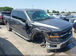 1FTEW3K59RKD66488 2024 FORD F-150