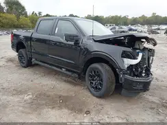 1FTEW3K59SKD76119 2025 FORD F-150