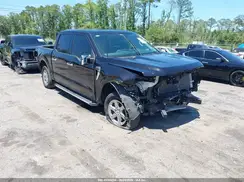 1FTEW3K80RKF77640 2024 FORD F-150
