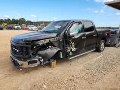 1FTEW3K85RFA17699 2024 FORD F-150