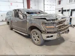 1FTEW3K87SKD38284 2025 FORD F-150