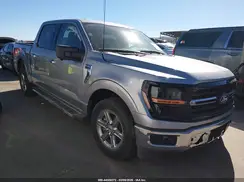 1FTEW3KP2RKD66253 2024 FORD F-150