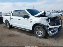 1FTEW3KP5RKD44778 2024 FORD F-150