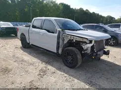 1FTEW3KP5RKD79899 2024 FORD F-150