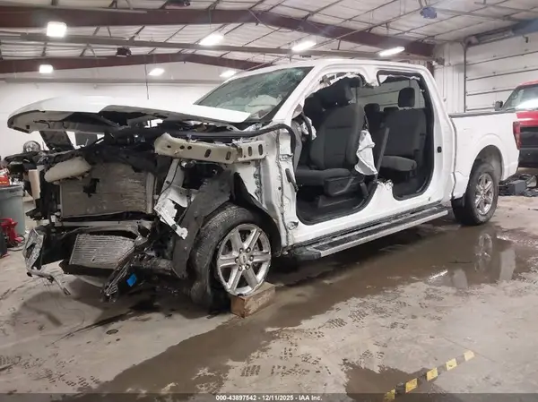 1FTEW3KP5RKE85284 2024 FORD F-150 - Image 2