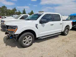 1FTEW3KP5RKE96754 2024 FORD F-150
