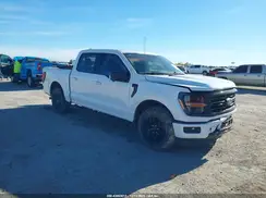 1FTEW3KP6RKD02782 2024 FORD F-150
