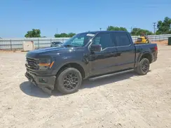 1FTEW3KP6RKE64668 2024 FORD F-150