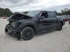 1FTEW3KP6SKD76502 2025 FORD F-150