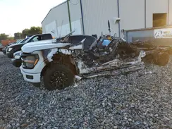 1FTEW3KP8RKD79184 2024 FORD F-150