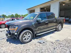 1FTEW3KPXRFA88131 2024 FORD F-150