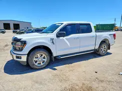 1FTEW3LP0RFA57324 2024 FORD F-150