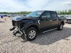 1FTEW3LP0RKD93370 2024 FORD F-150