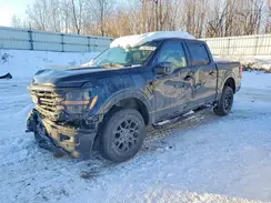 1FTEW3LP0SFB81485 2025 FORD F-150