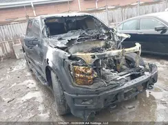 1FTEW3LP1RFA21660 2024 FORD F-150