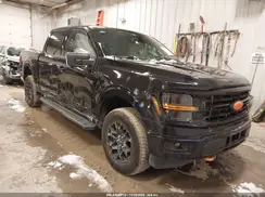 1FTEW3LP1RKD88081 2024 FORD F-150